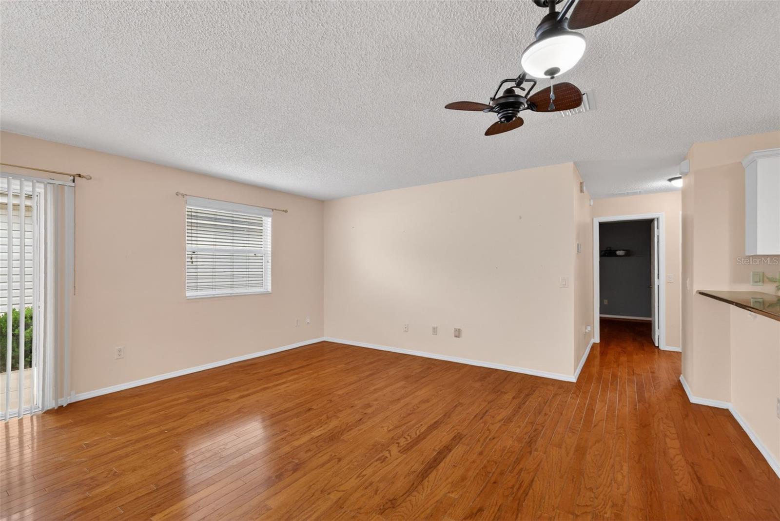 17457 SE 81ST NEWBERRY CT, THE VILLAGES, FL, 32162