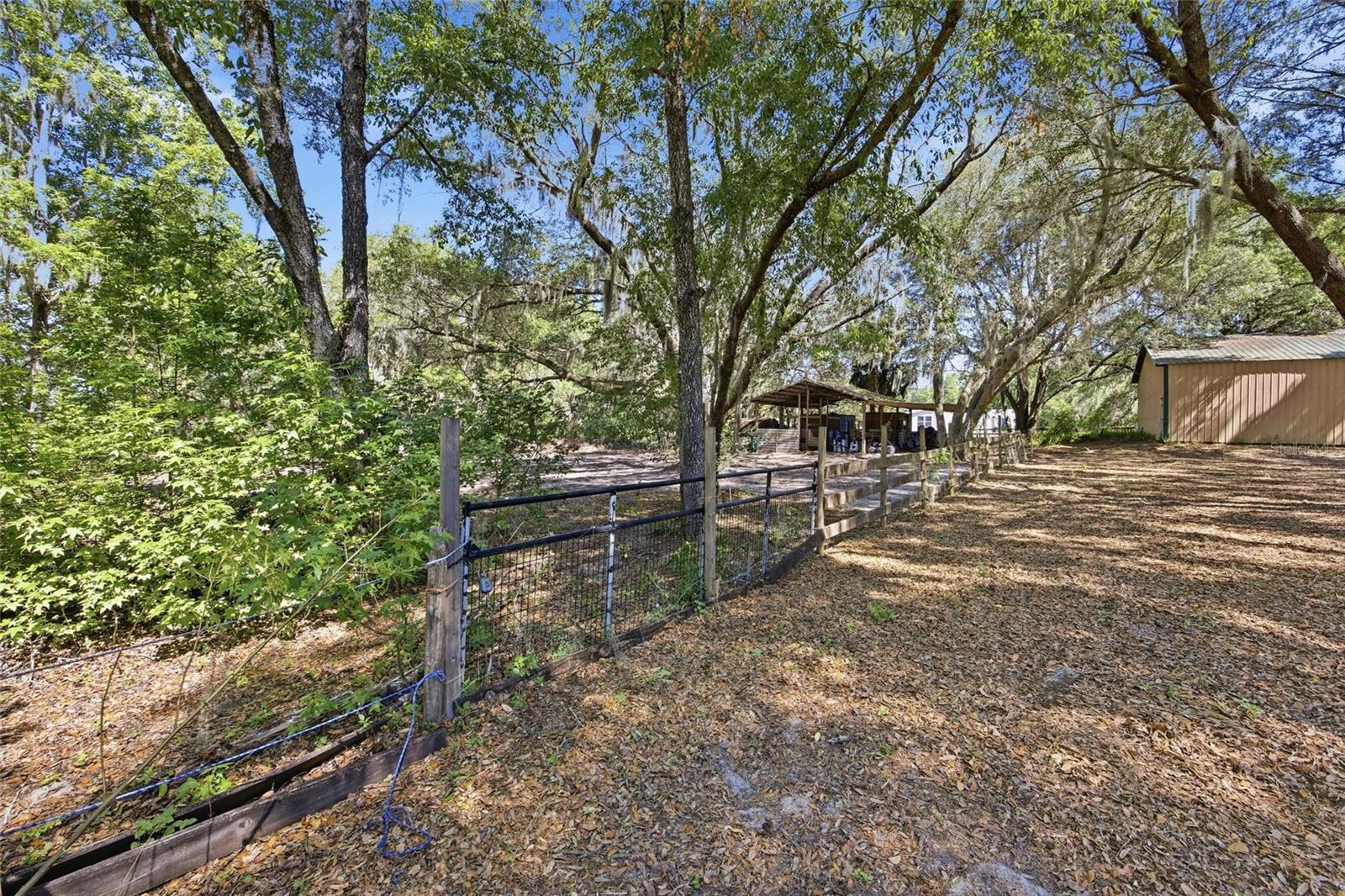 3980 SE 183RD AVENUE RD, OCKLAWAHA, FL, 32179