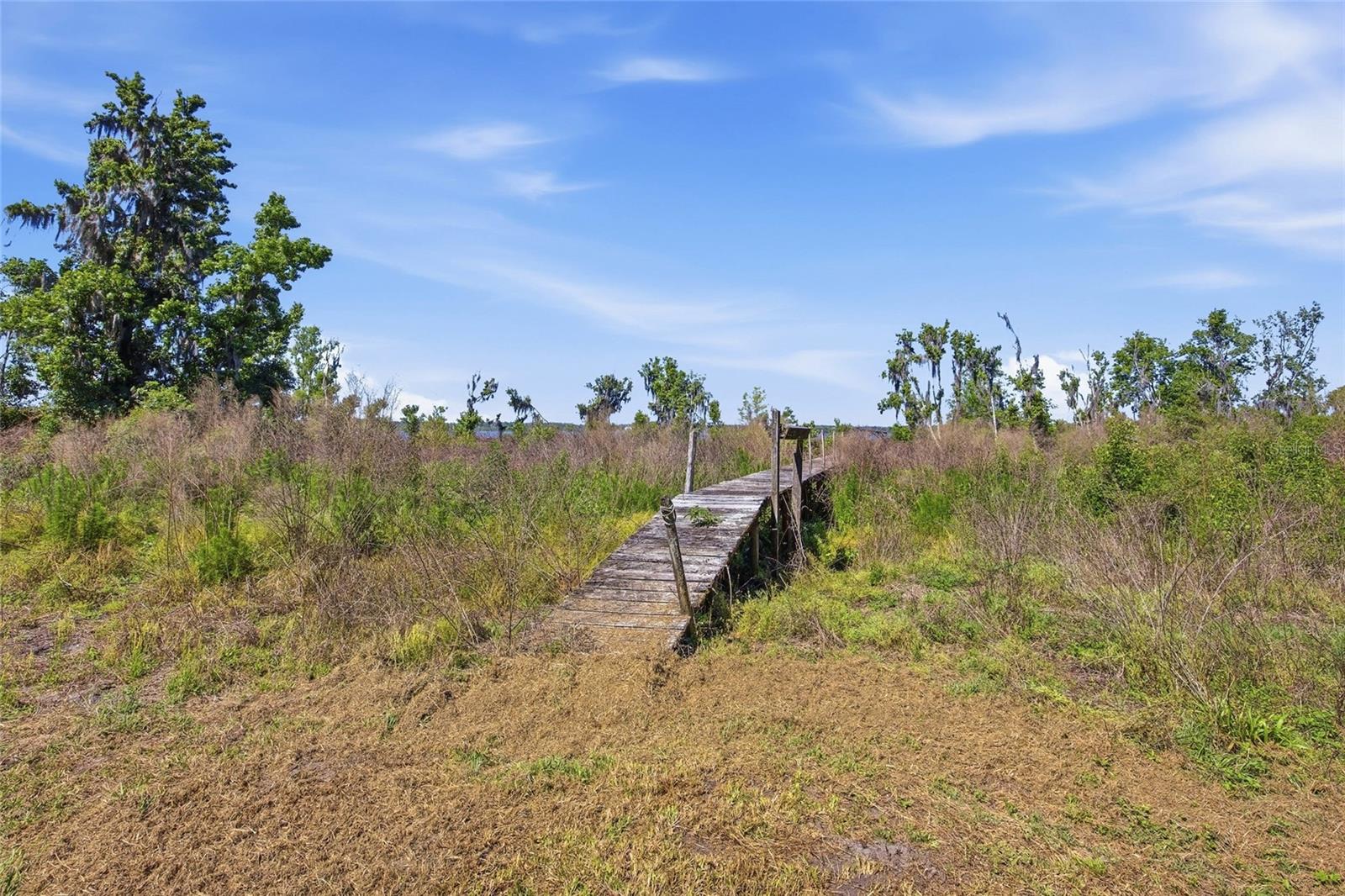 3980 SE 183RD AVENUE RD, OCKLAWAHA, FL, 32179