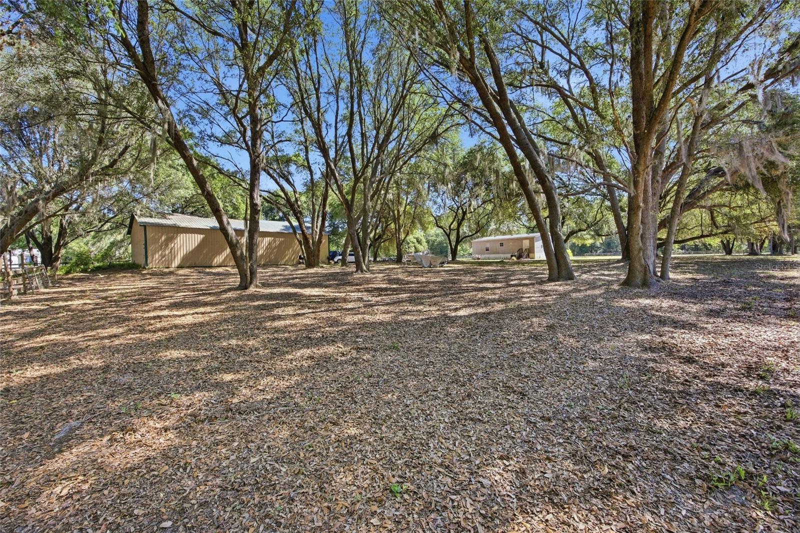 3980 SE 183RD AVENUE RD, OCKLAWAHA, FL, 32179