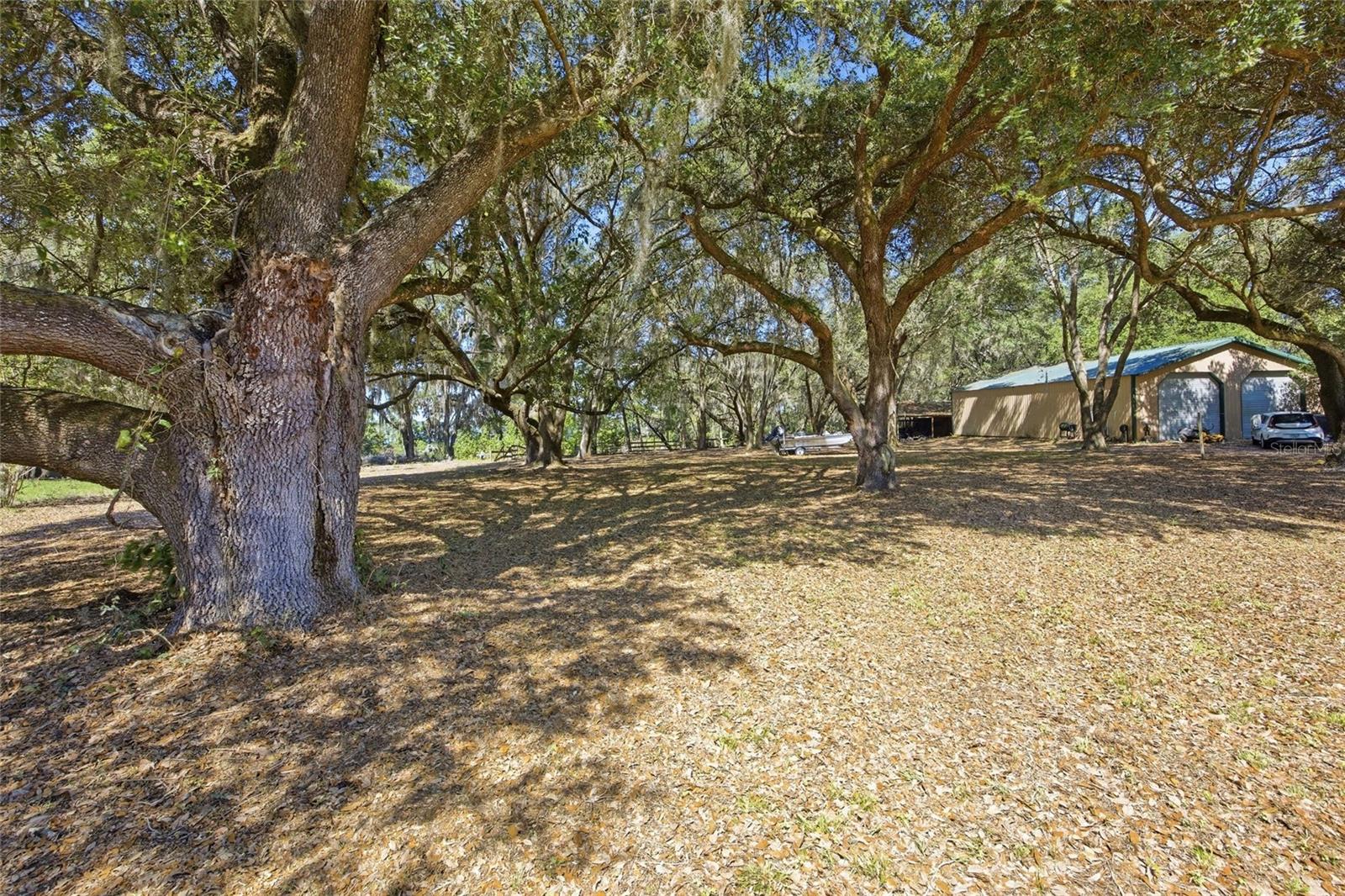 3980 SE 183RD AVENUE RD, OCKLAWAHA, FL, 32179