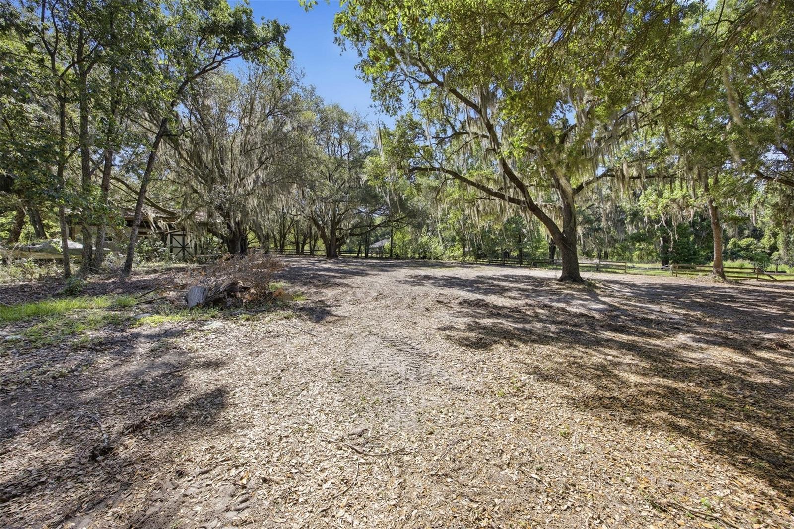3980 SE 183RD AVENUE RD, OCKLAWAHA, FL, 32179