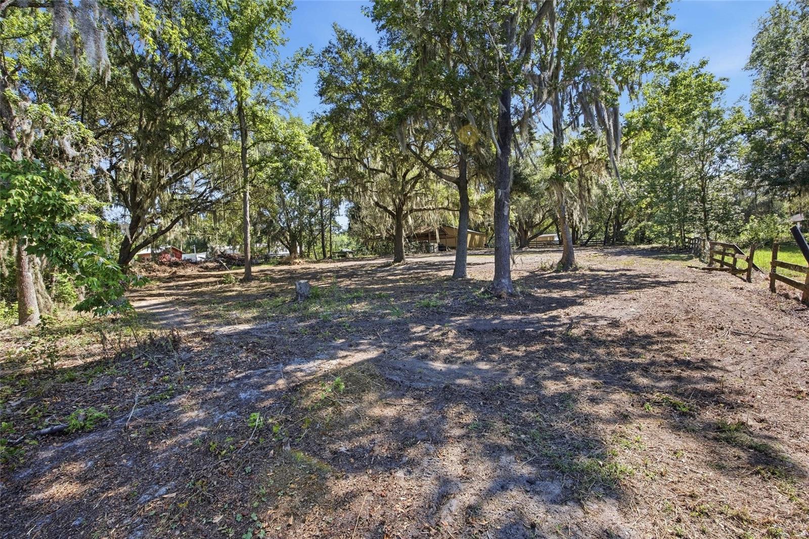 3980 SE 183RD AVENUE RD, OCKLAWAHA, FL, 32179
