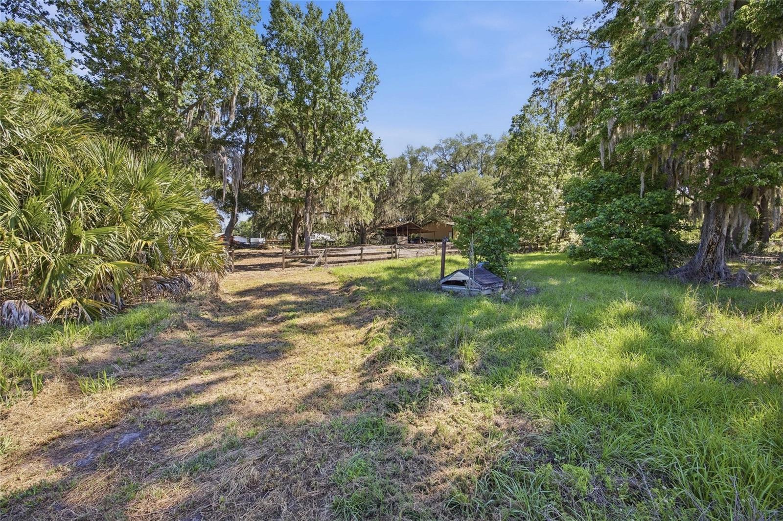 3980 SE 183RD AVENUE RD, OCKLAWAHA, FL, 32179