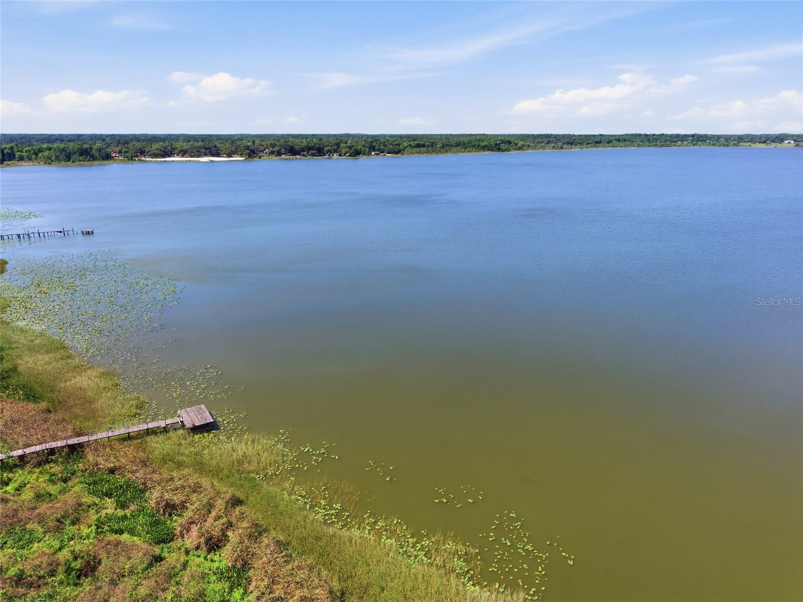 3980 SE 183RD AVENUE RD, OCKLAWAHA, FL, 32179