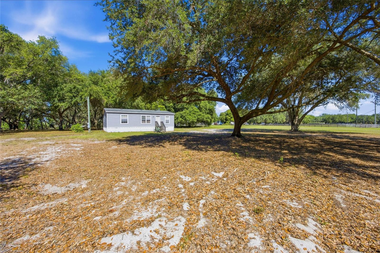 3980 SE 183RD AVENUE RD, OCKLAWAHA, FL, 32179
