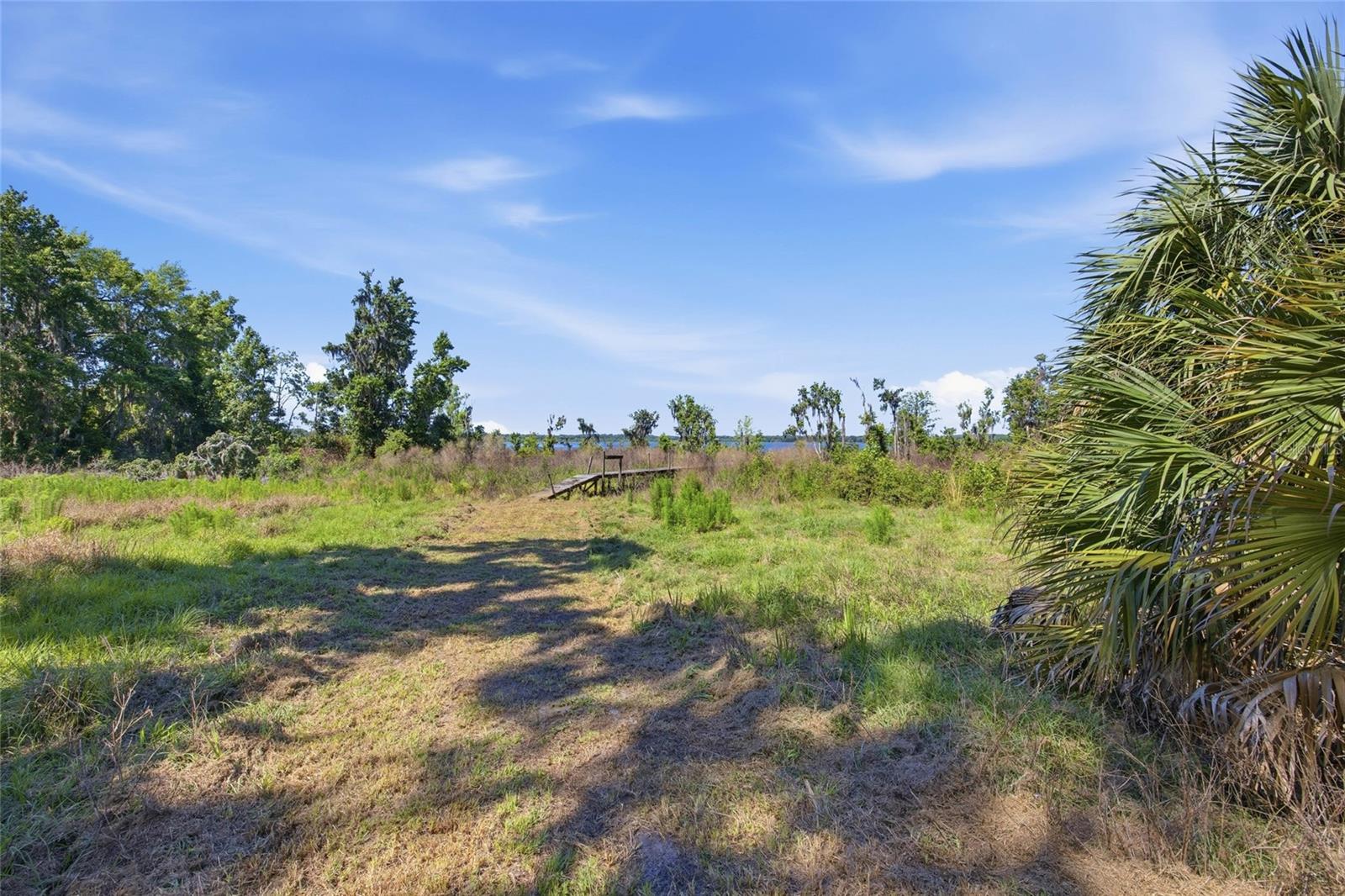 3980 SE 183RD AVENUE RD, OCKLAWAHA, FL, 32179