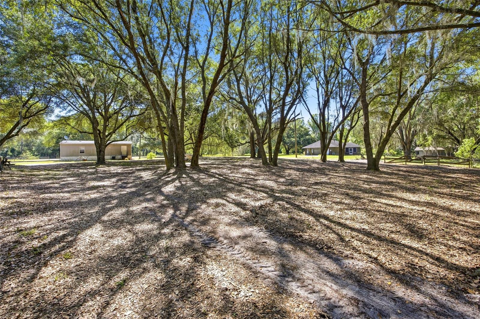 3980 SE 183RD AVENUE RD, OCKLAWAHA, FL, 32179
