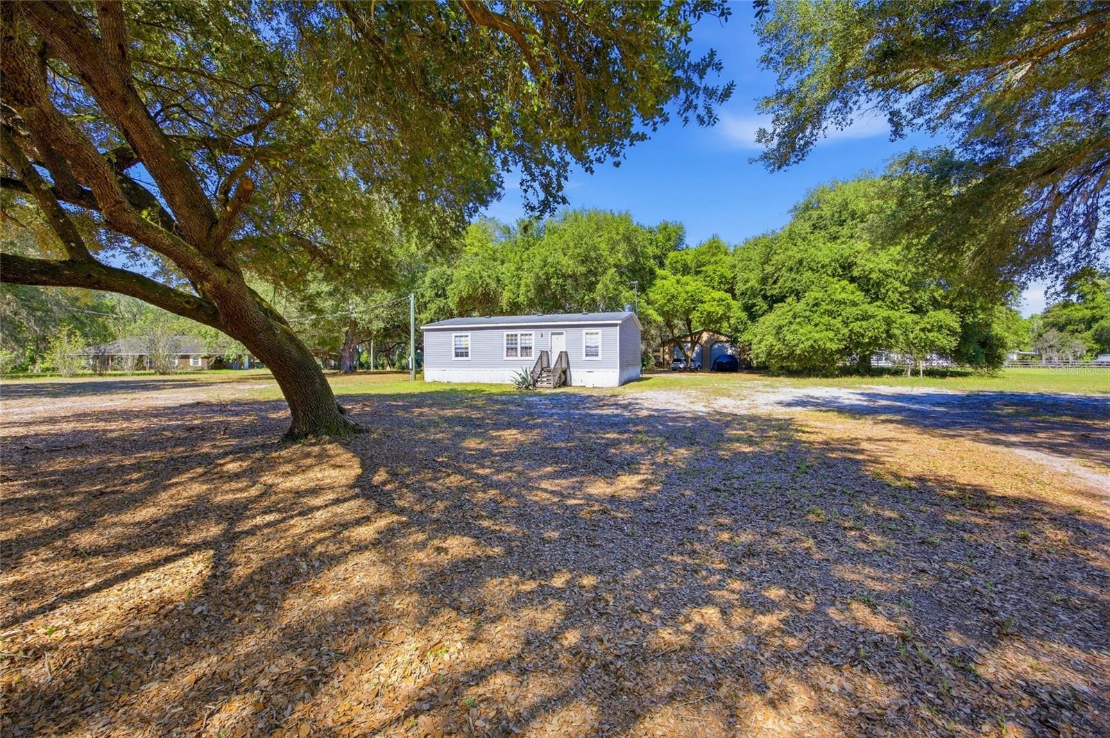 3980 SE 183RD AVENUE RD, OCKLAWAHA, FL, 32179