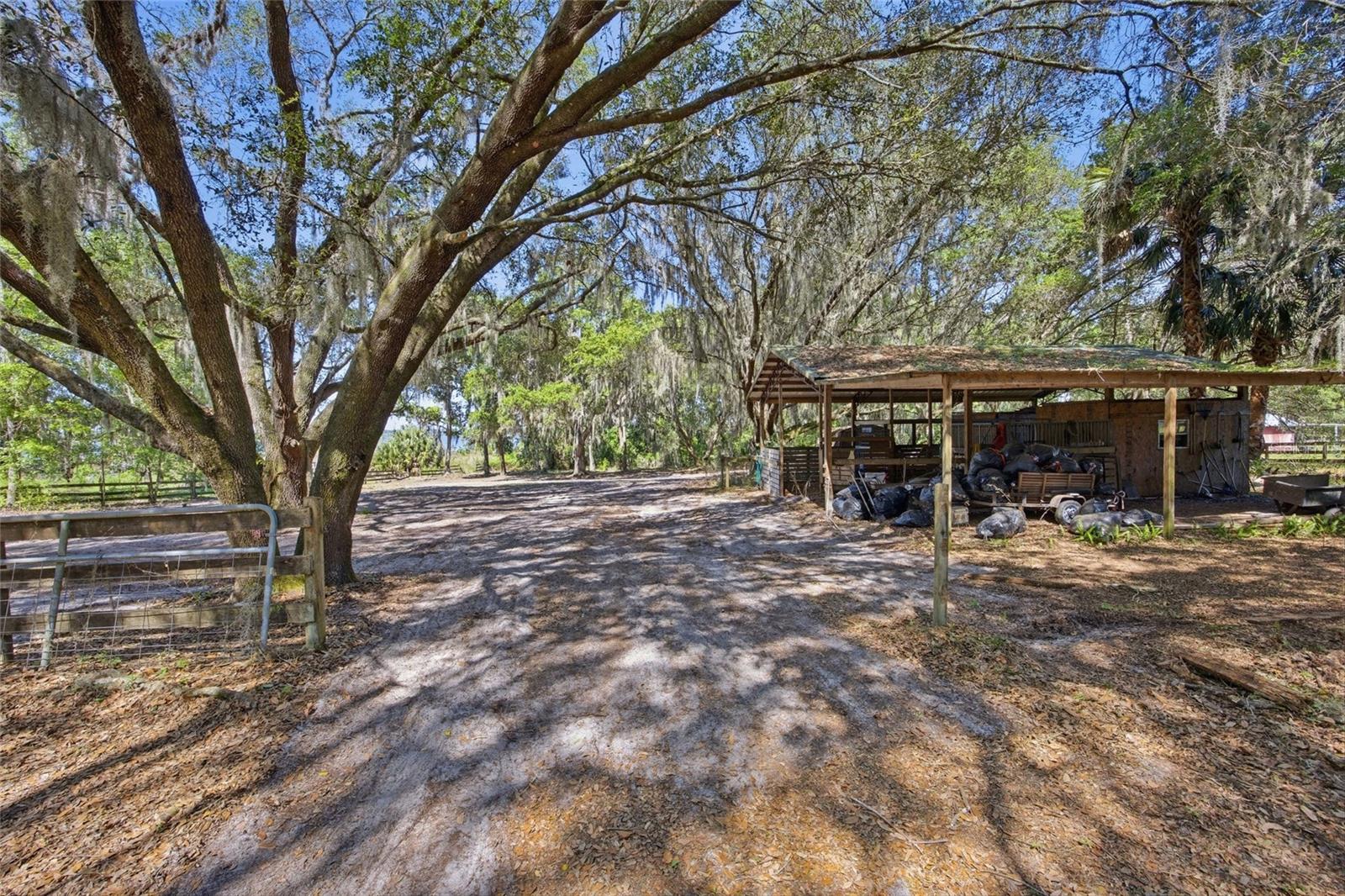 3980 SE 183RD AVENUE RD, OCKLAWAHA, FL, 32179