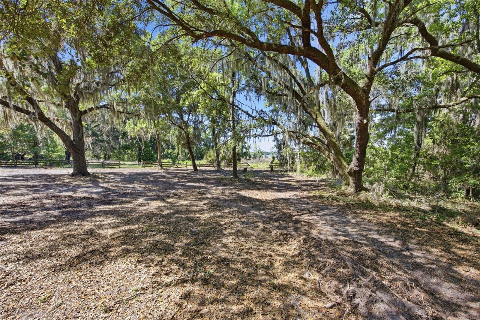 3980 SE 183RD AVENUE RD, OCKLAWAHA, FL, 32179