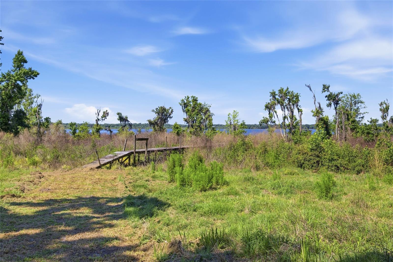 3980 SE 183RD AVENUE RD, OCKLAWAHA, FL, 32179