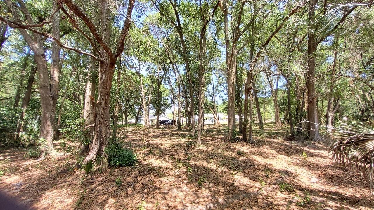 25050 ALGONQUIN AVE, MOUNT PLYMOUTH, FL, 32776