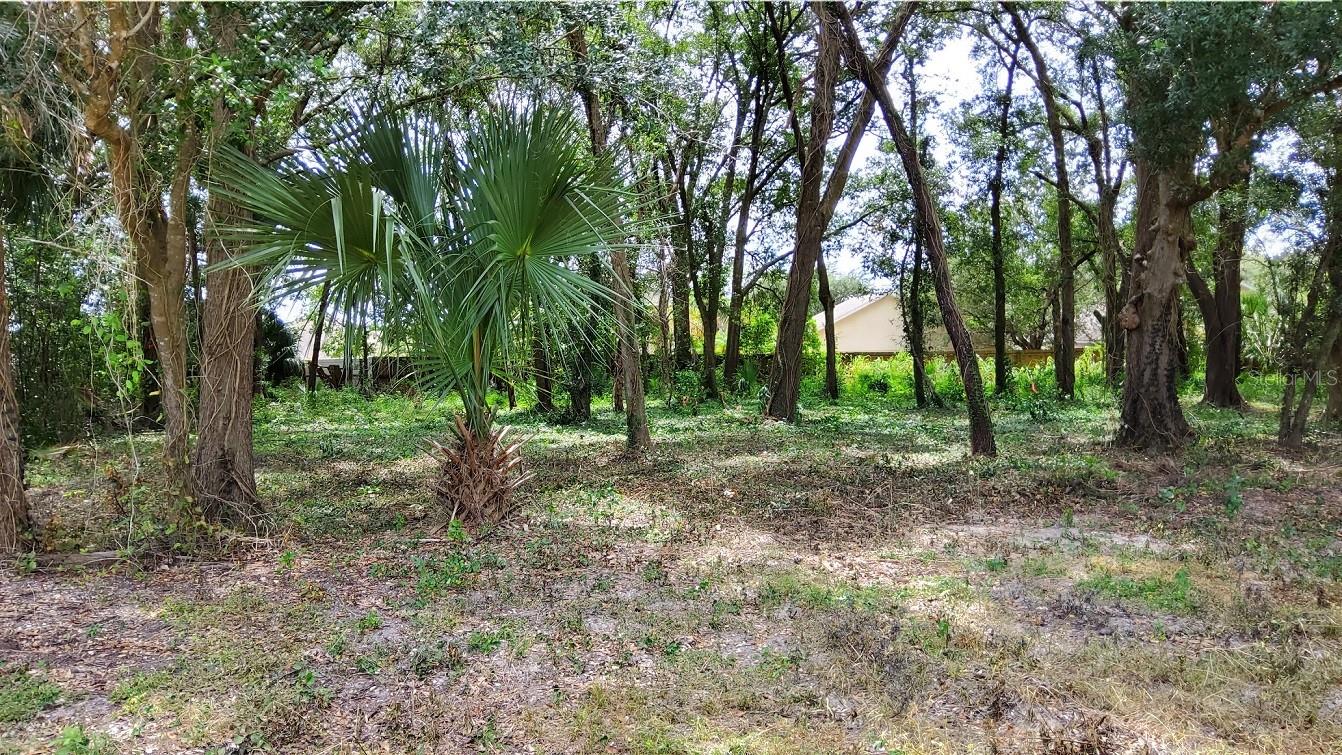 25050 ALGONQUIN AVE, MOUNT PLYMOUTH, FL, 32776