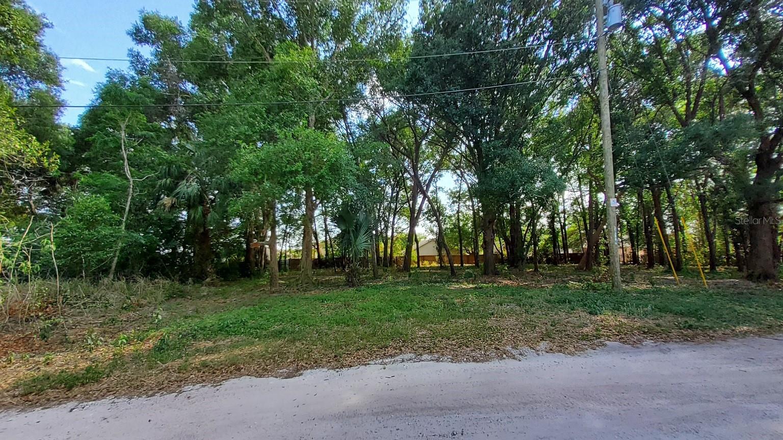 25050 ALGONQUIN AVE, MOUNT PLYMOUTH, FL, 32776
