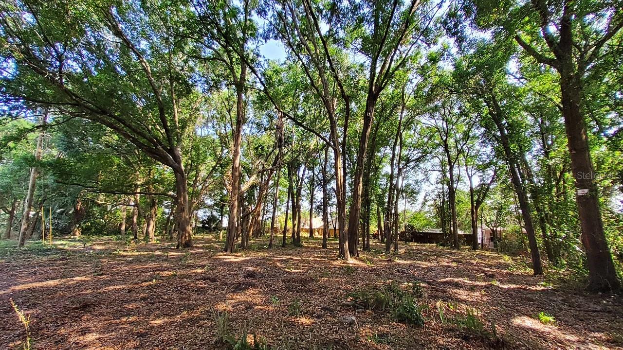 25050 ALGONQUIN AVE, MOUNT PLYMOUTH, FL, 32776