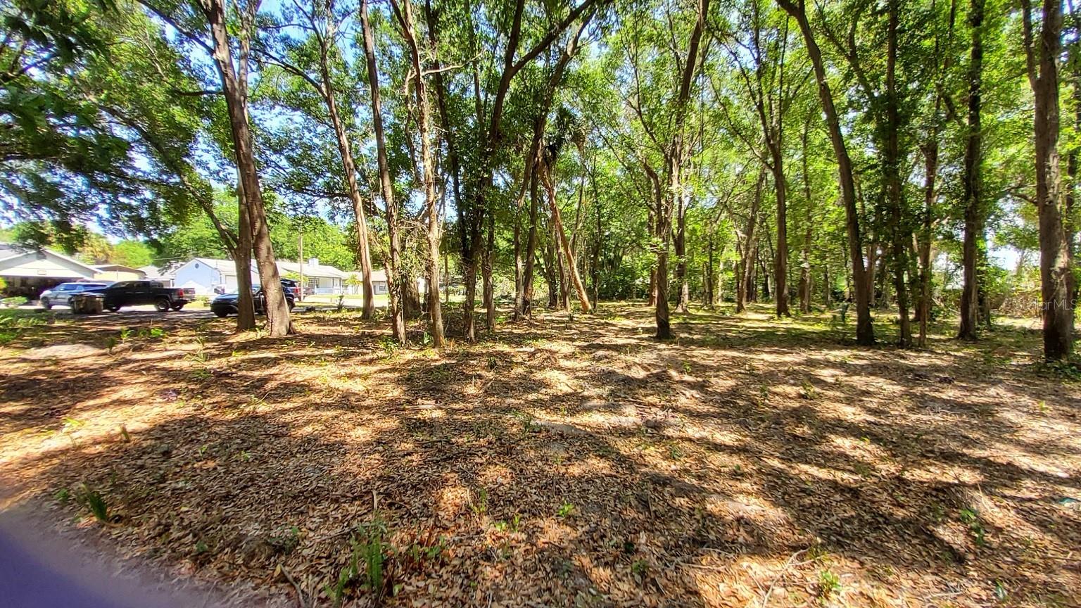 25050 ALGONQUIN AVE, MOUNT PLYMOUTH, FL, 32776