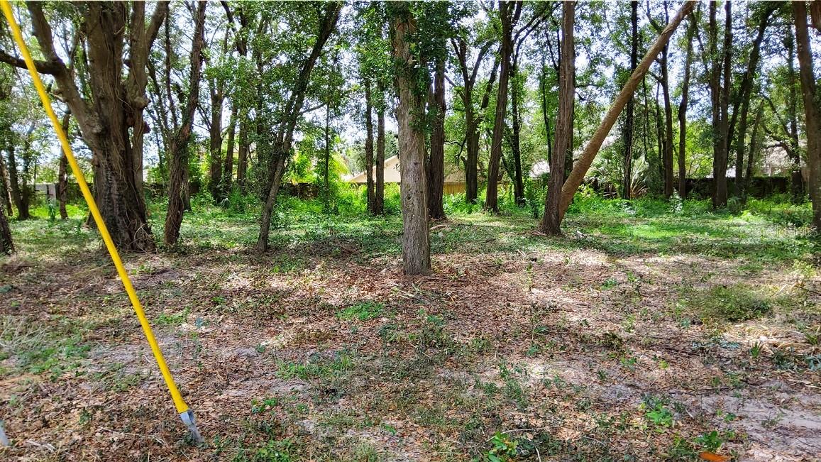 25050 ALGONQUIN AVE, MOUNT PLYMOUTH, FL, 32776
