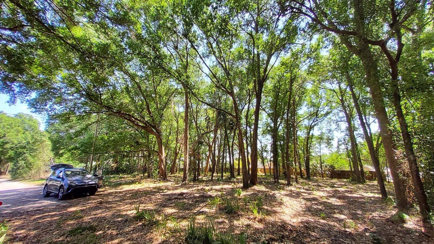25050 ALGONQUIN AVE, MOUNT PLYMOUTH, FL, 32776