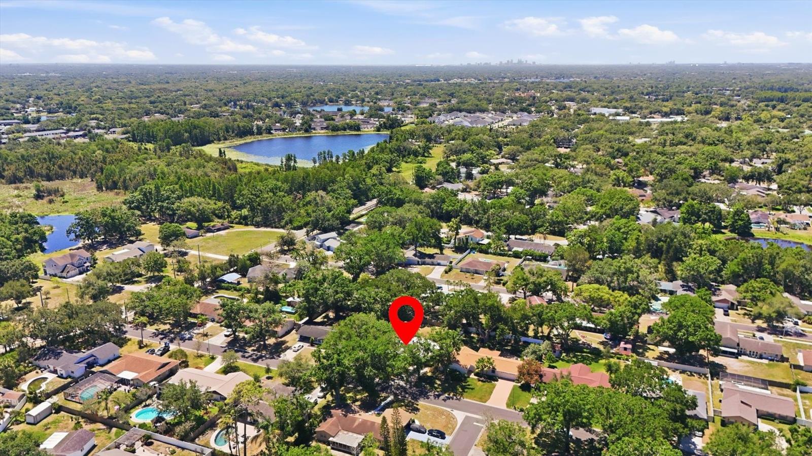 13808 CHERRY BROOK LN, TAMPA, FL, 33618