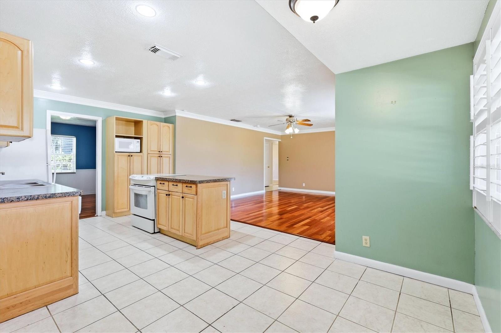 13808 CHERRY BROOK LN, TAMPA, FL, 33618