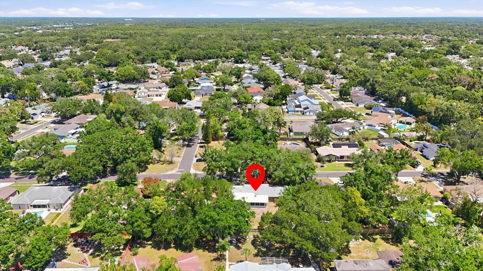13808 CHERRY BROOK LN, TAMPA, FL, 33618