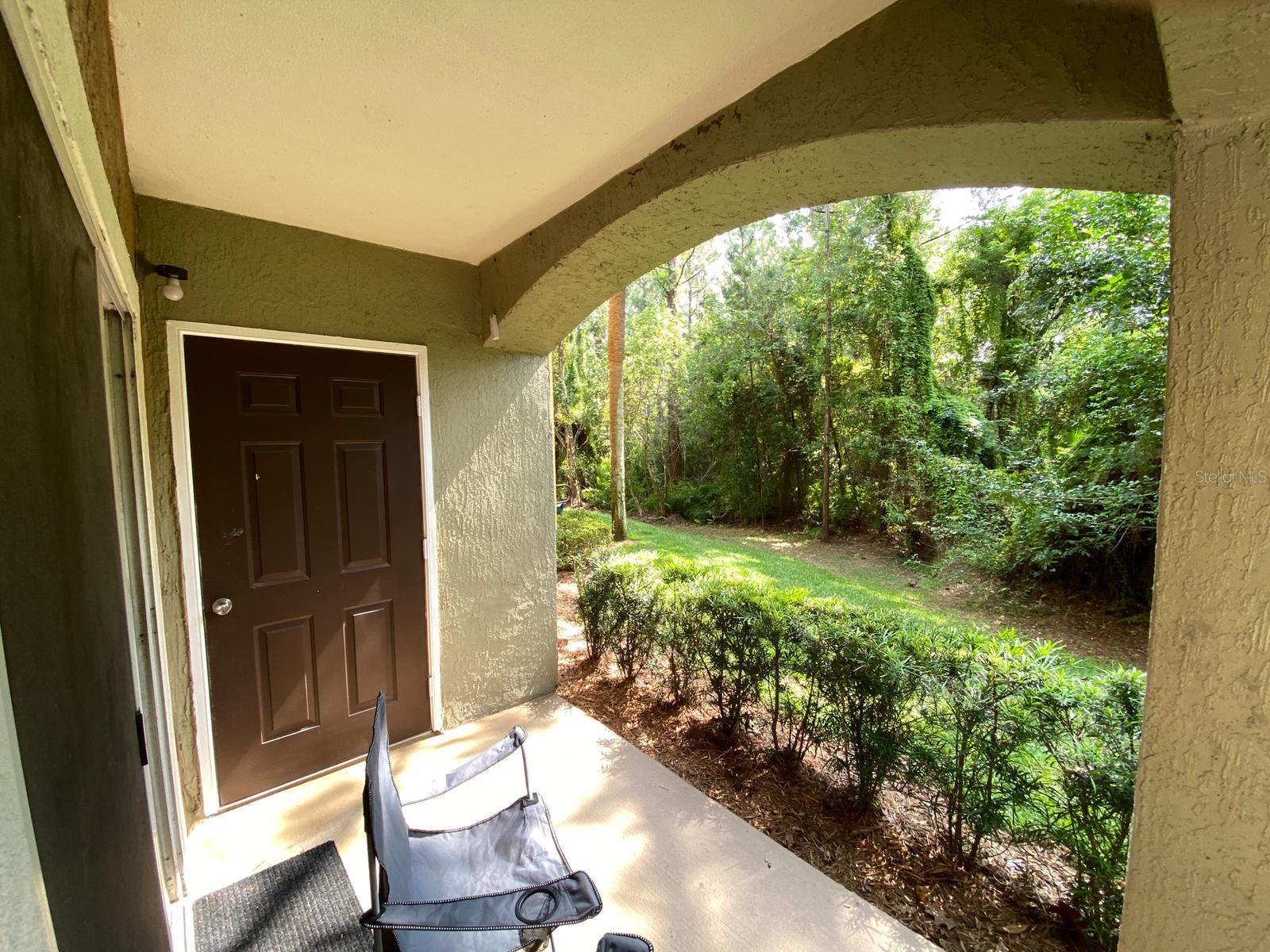 12602 CREST SPRINGS LN #1318, ORLANDO, FL, 32828