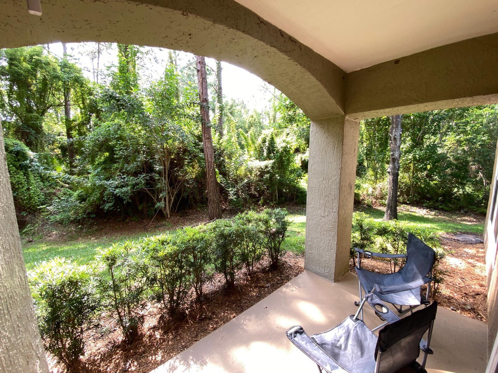 12602 CREST SPRINGS LN #1318, ORLANDO, FL, 32828