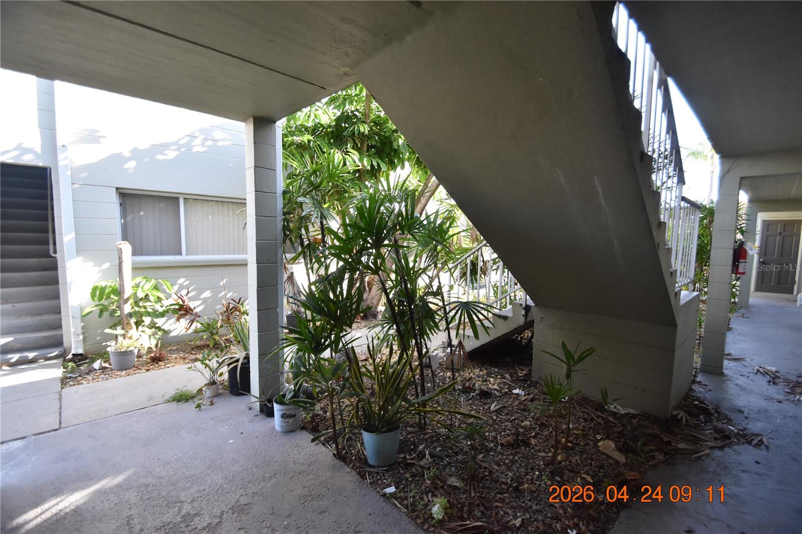 30 DANUBE AVE #3, TAMPA, FL, 33606