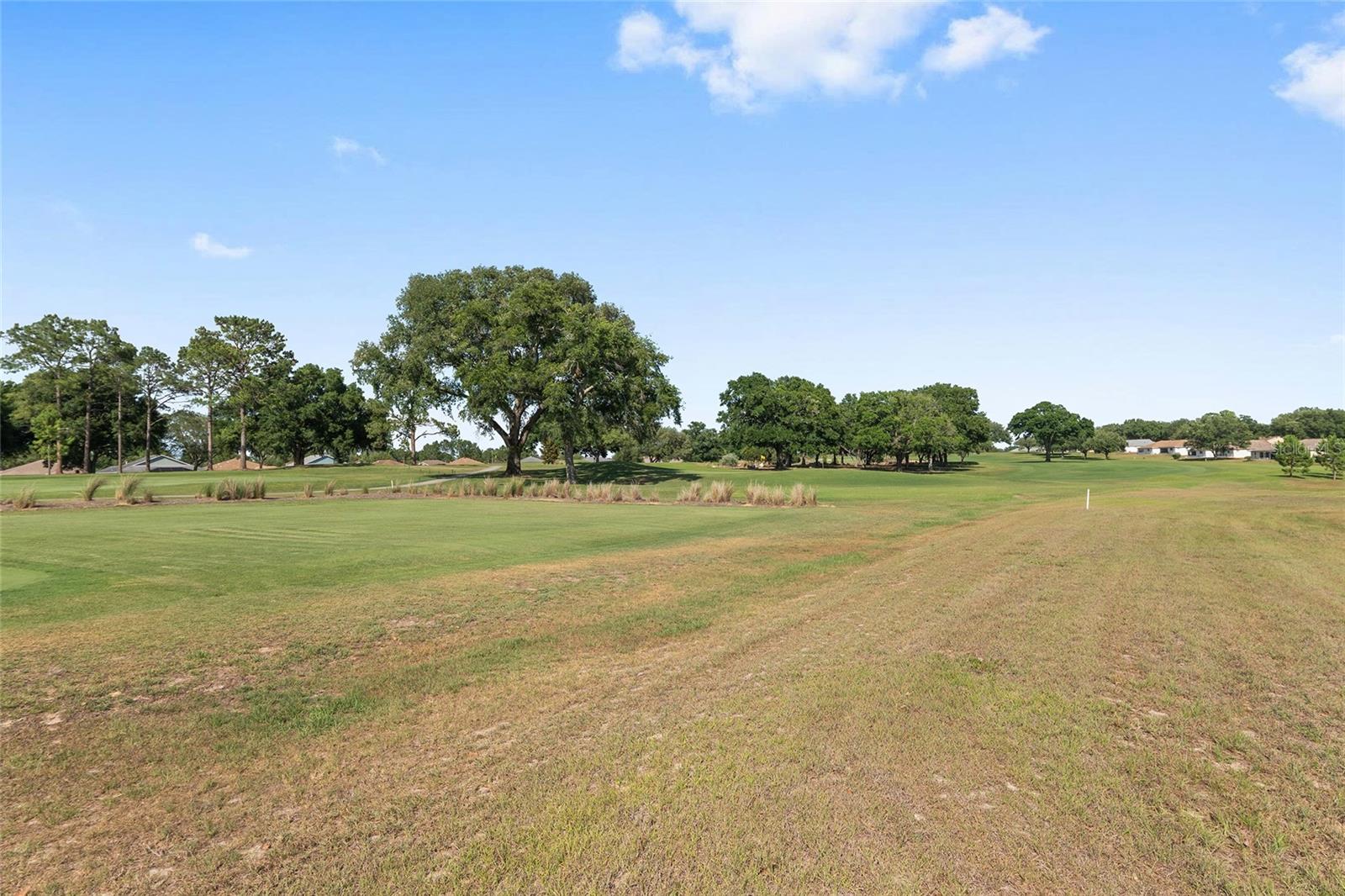 9917 SW 96TH ST, OCALA, FL, 34481