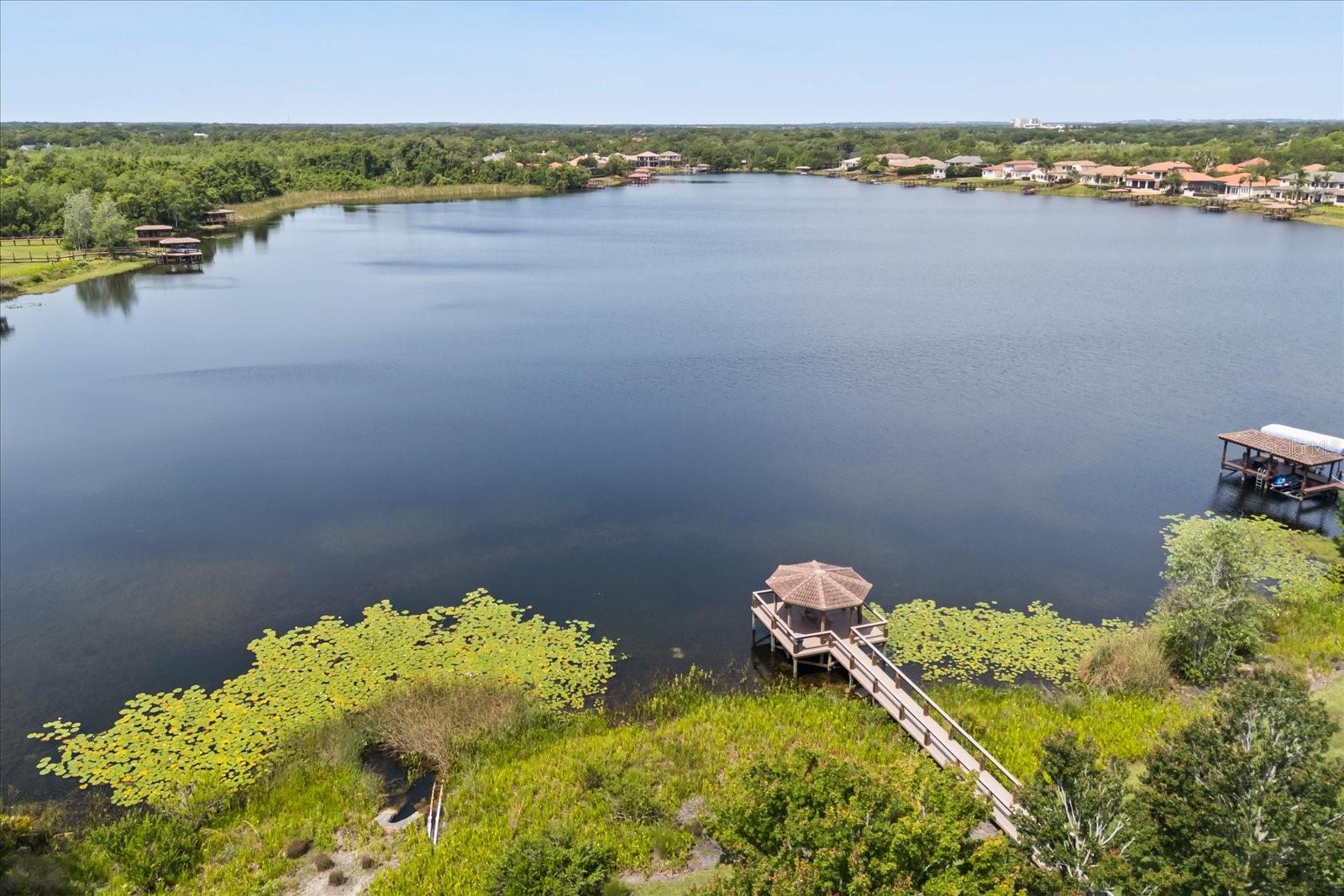 1554 LAKE RHEA DR, WINDERMERE, FL, 34786