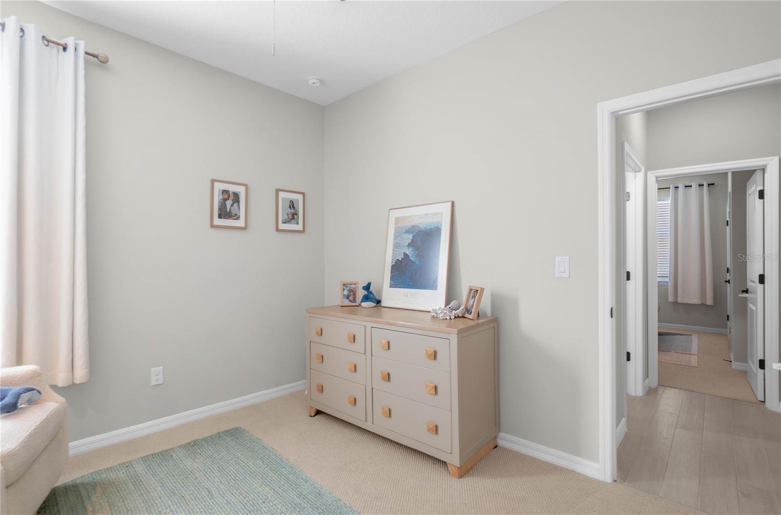 34382 EVERGREEN HILL CT, WESLEY CHAPEL, FL, 33545