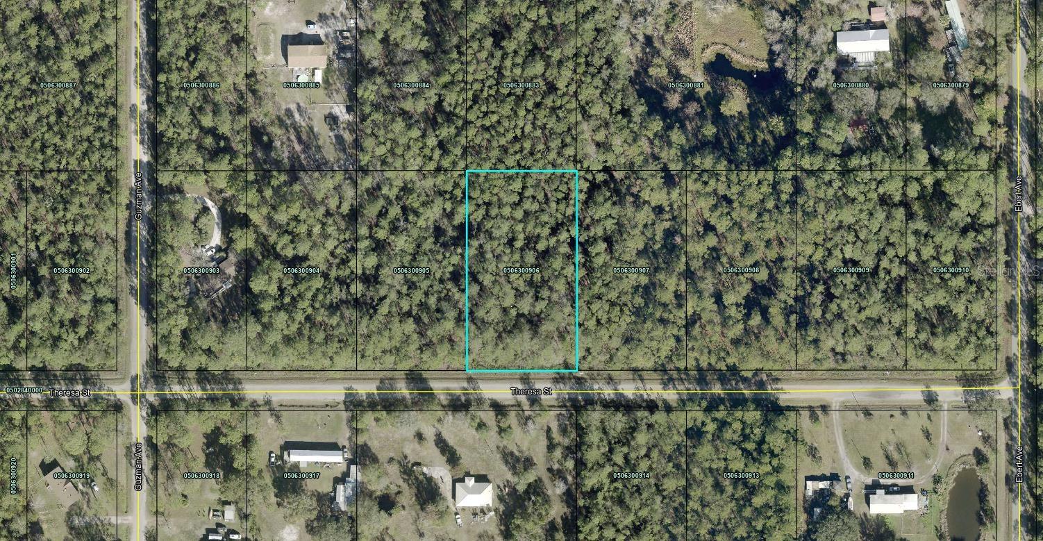 THERESA ST, HASTINGS, FL, 32145