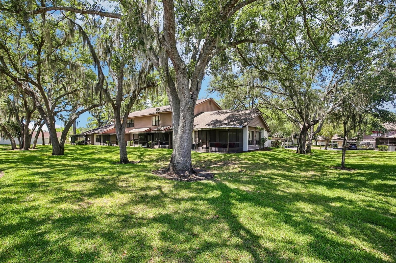 1006 CICERO LN, BRANDON, FL, 33511