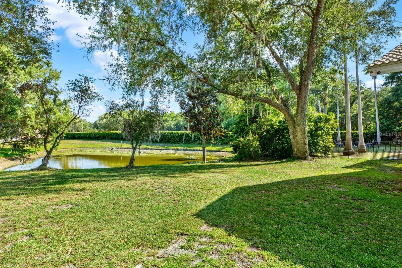 3775 WELLINGTON PKWY, PALM HARBOR, FL, 34685