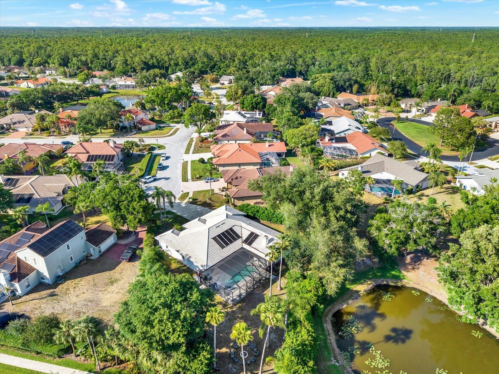 3775 WELLINGTON PKWY, PALM HARBOR, FL, 34685