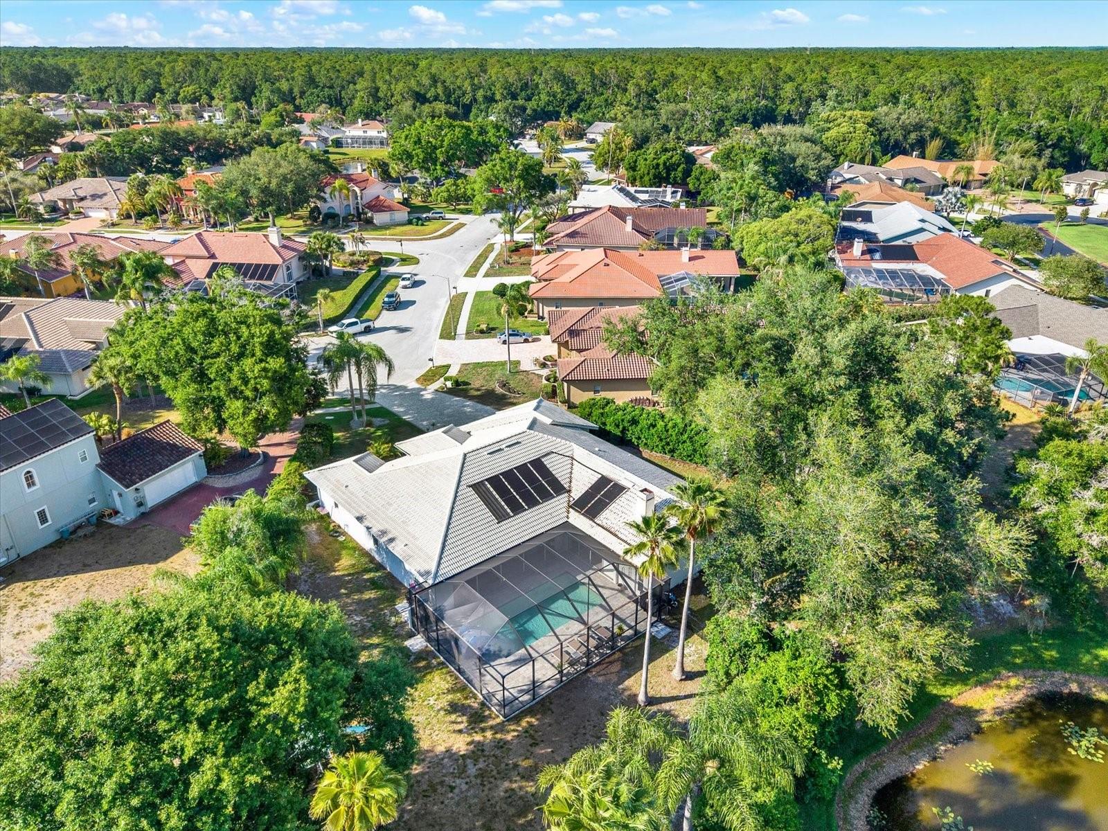3775 WELLINGTON PKWY, PALM HARBOR, FL, 34685