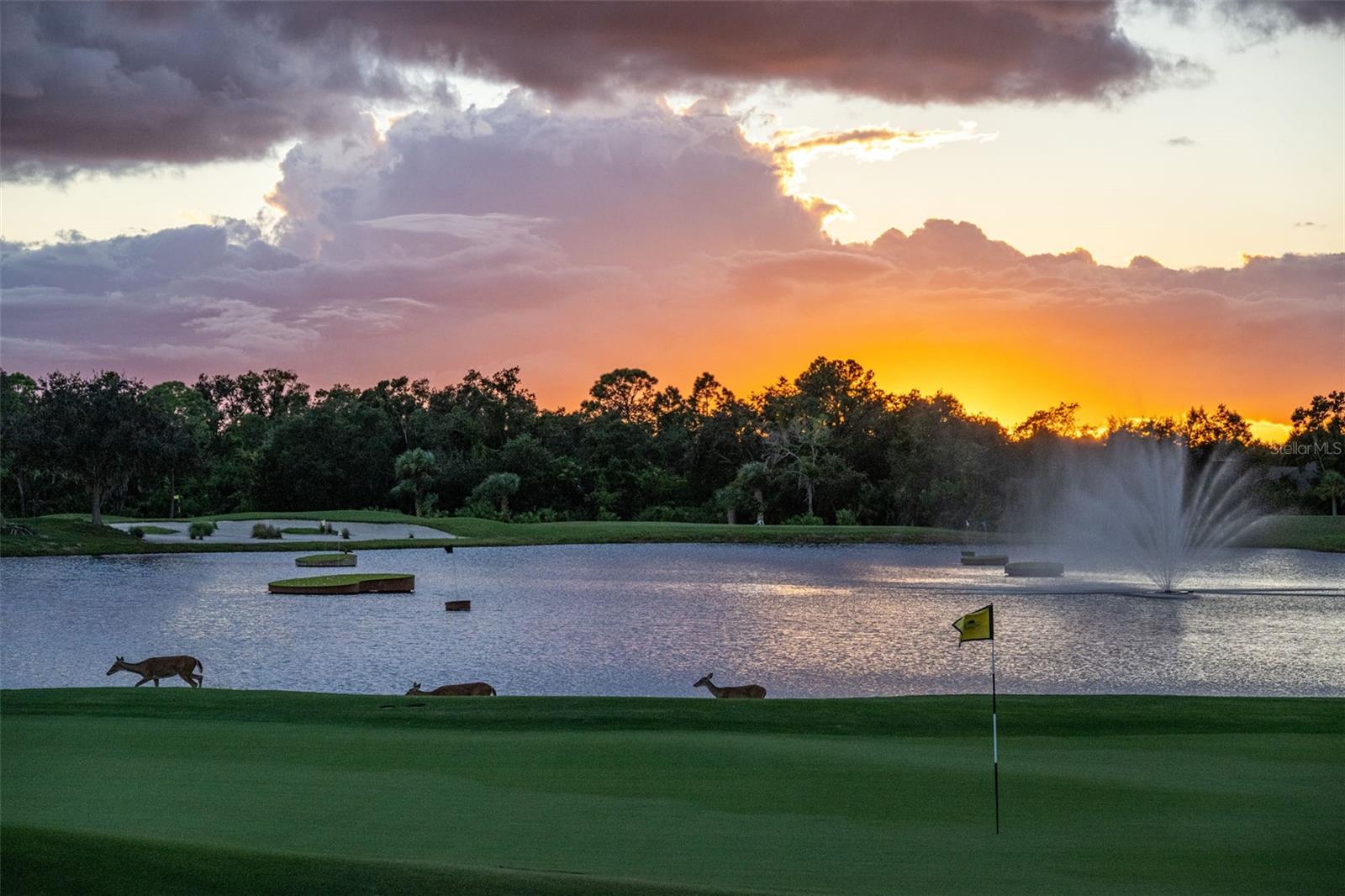 5231 MAHOGANY RUN AVE #312, SARASOTA, FL, 34241