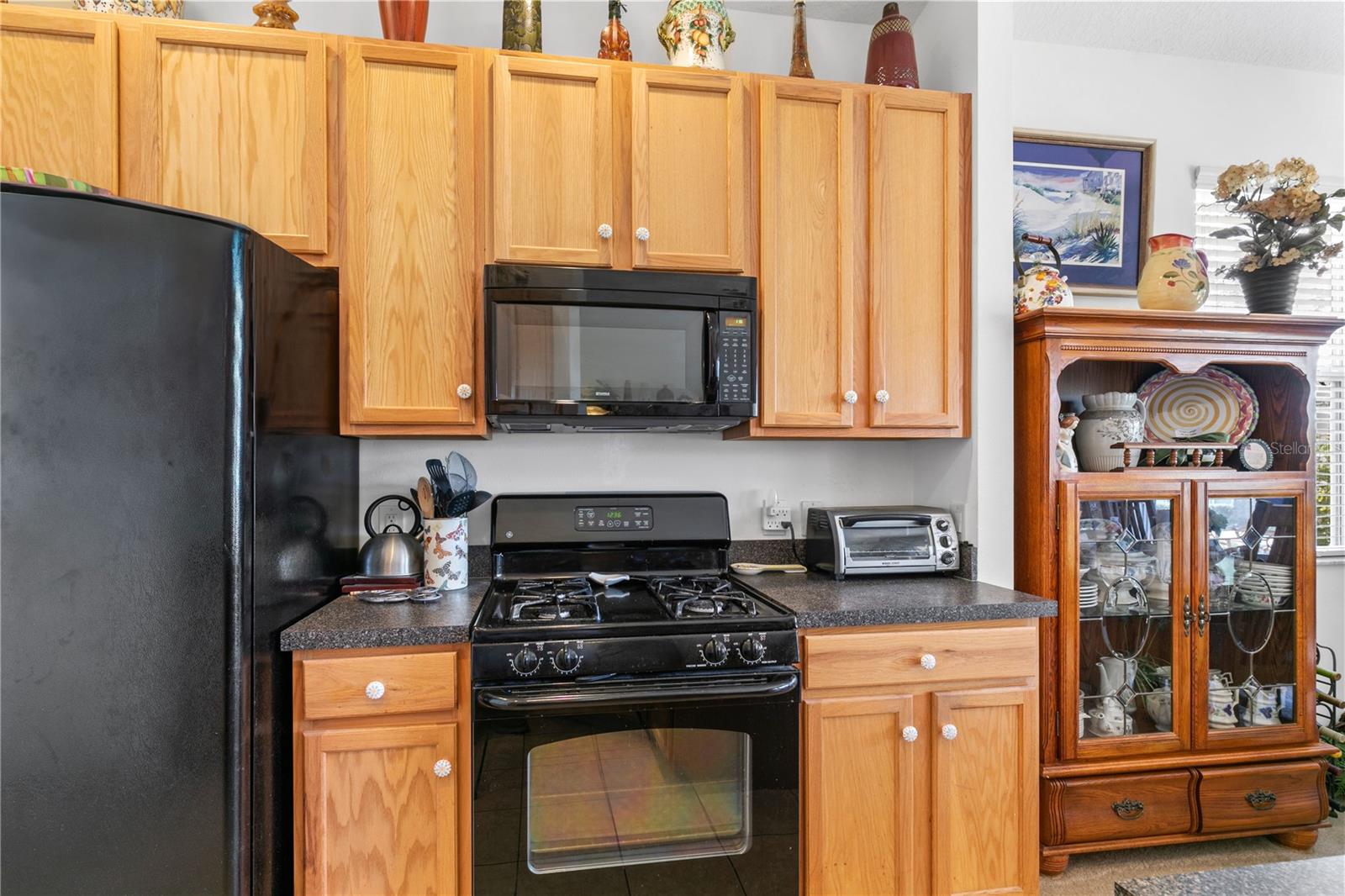 112 FLAME VINE WAY, GROVELAND, FL, 34736