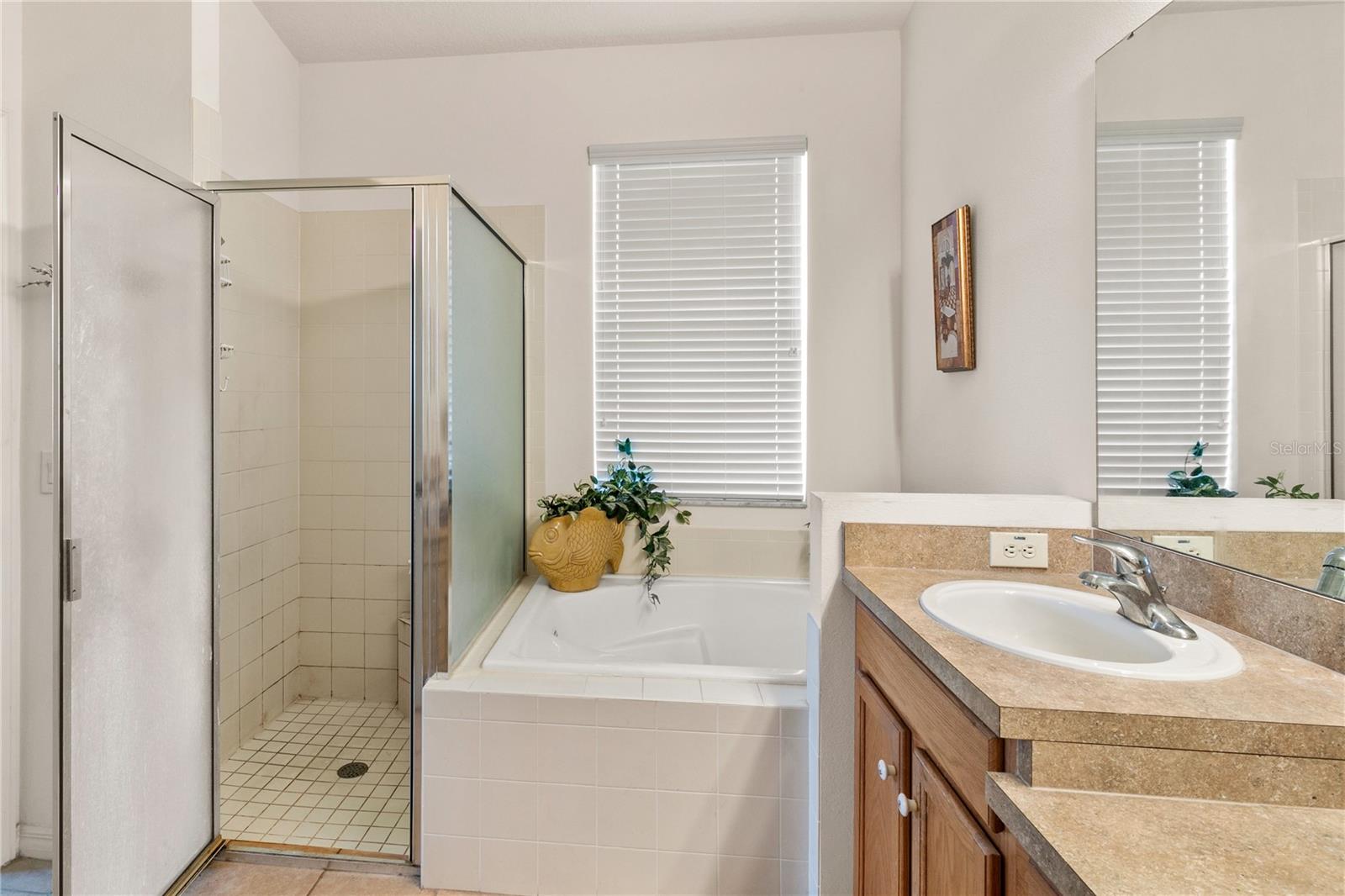 112 FLAME VINE WAY, GROVELAND, FL, 34736