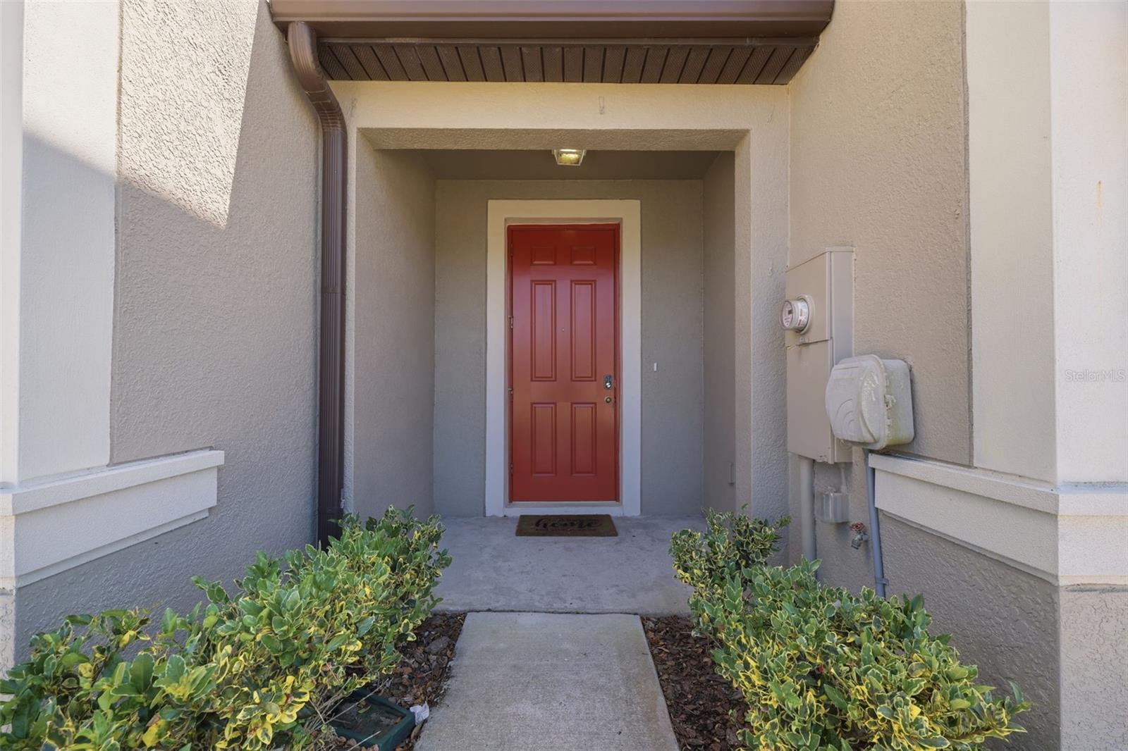 31555 BLUE PASSING LOOP, WESLEY CHAPEL, FL, 33545