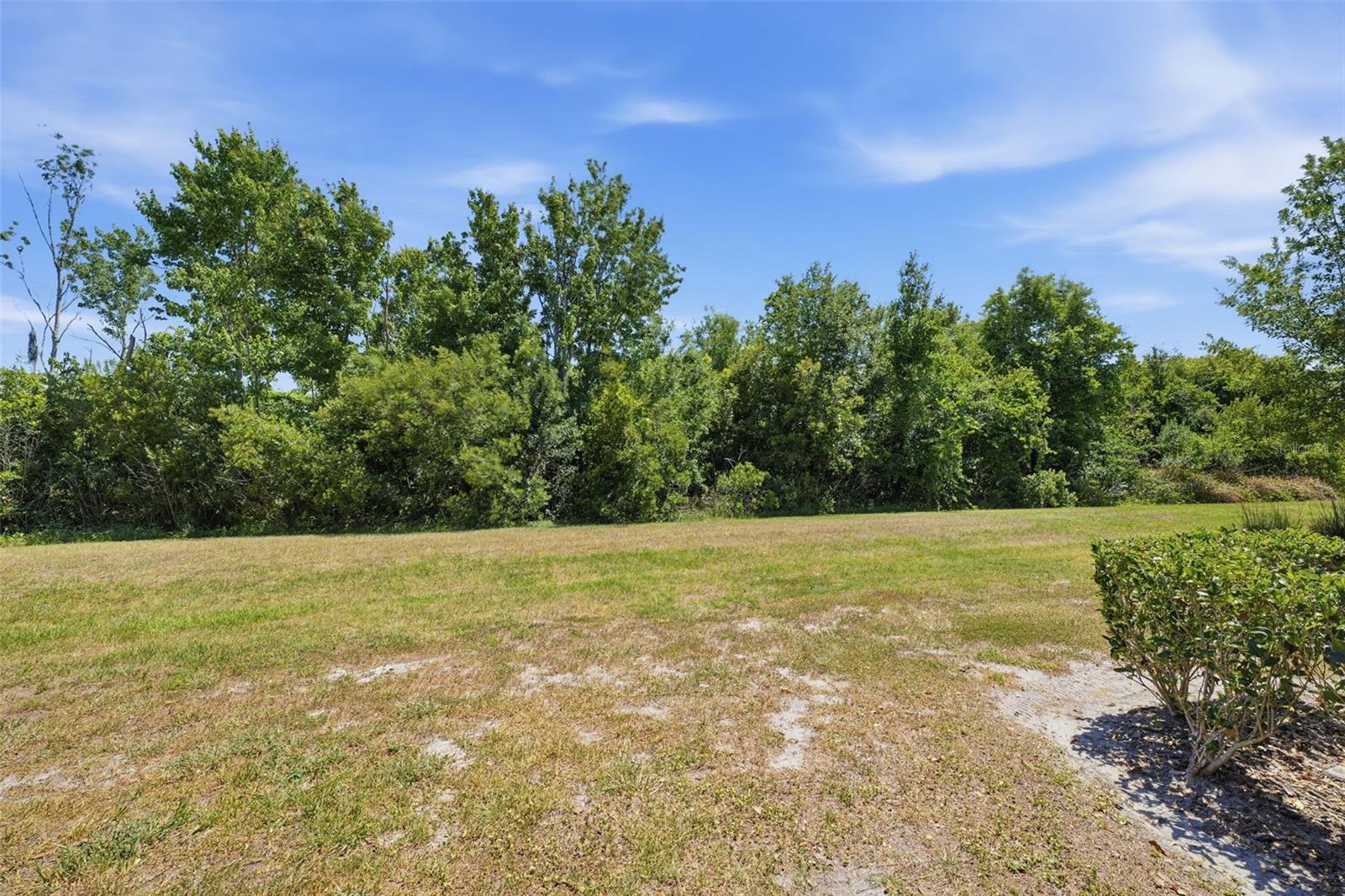 31555 BLUE PASSING LOOP, WESLEY CHAPEL, FL, 33545