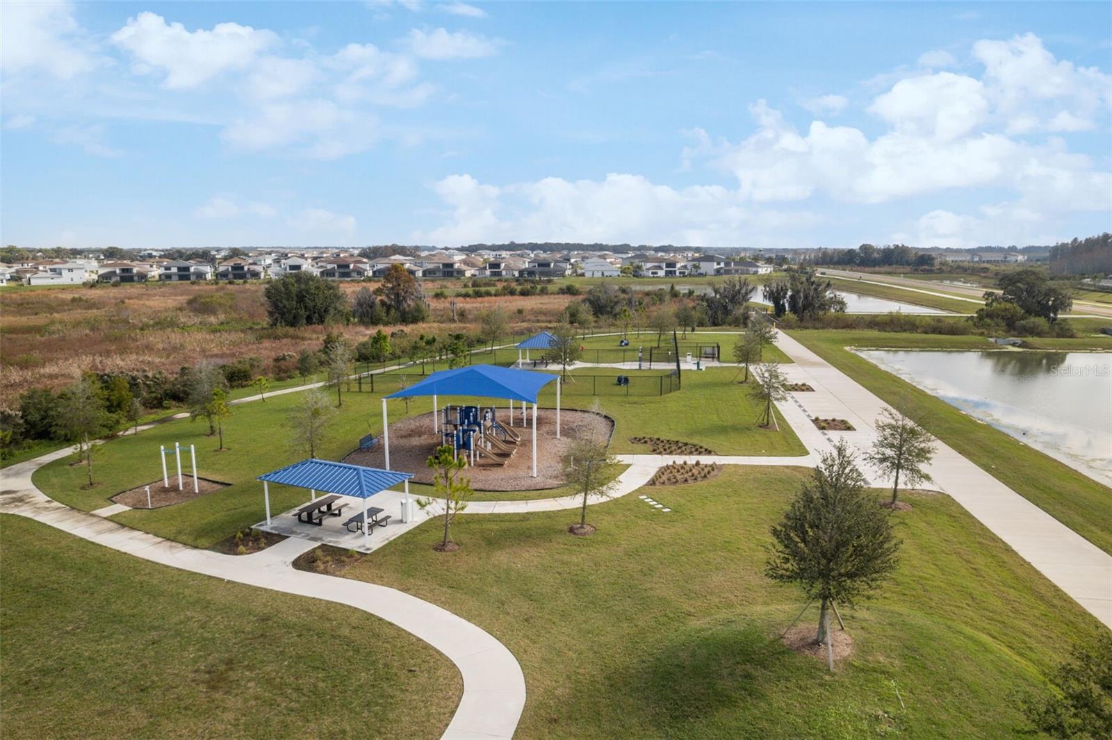 31555 BLUE PASSING LOOP, WESLEY CHAPEL, FL, 33545