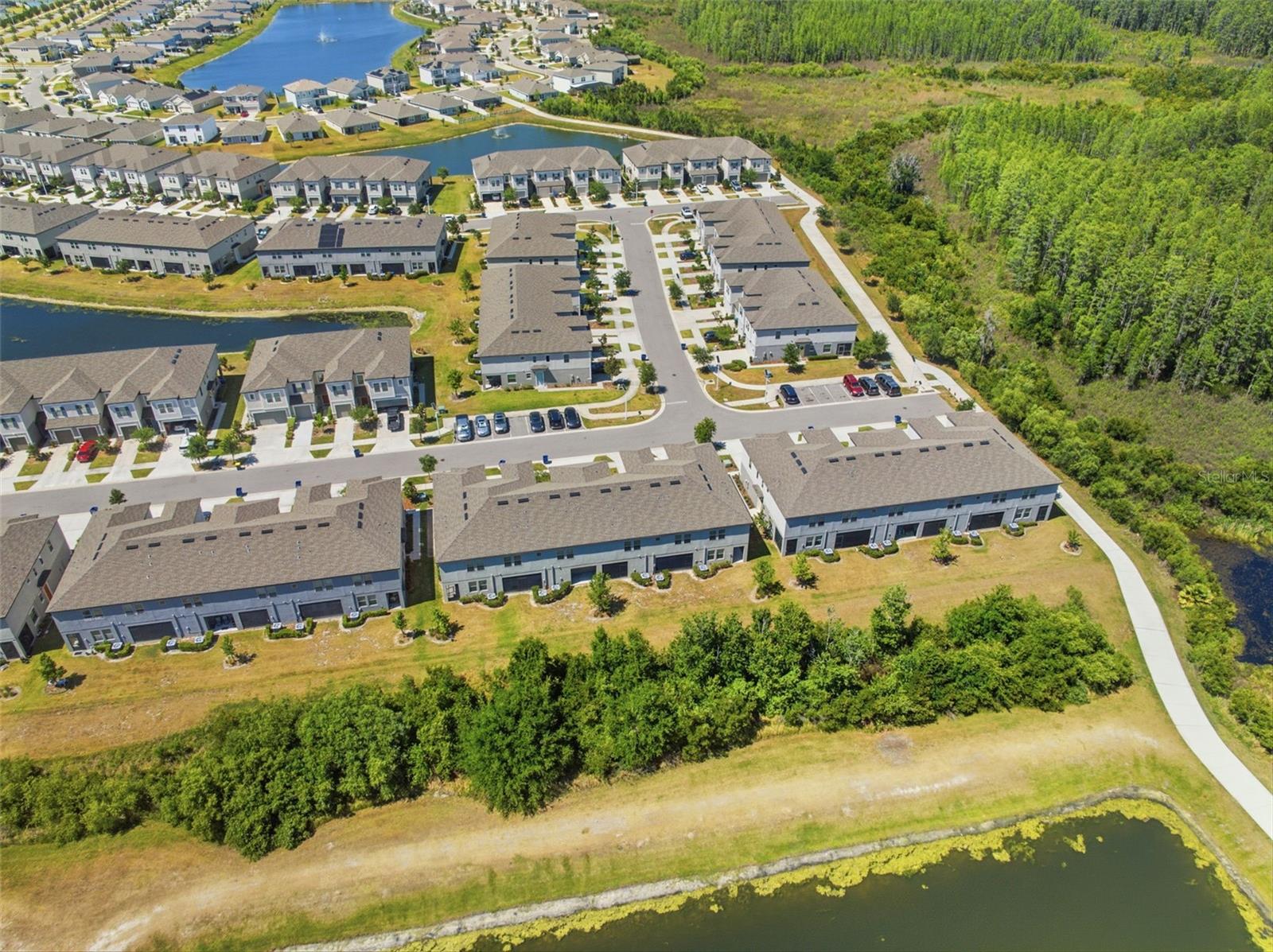 31555 BLUE PASSING LOOP, WESLEY CHAPEL, FL, 33545