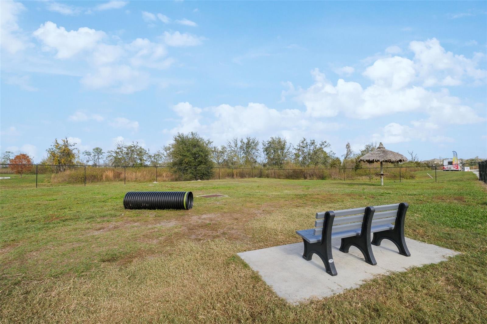 31555 BLUE PASSING LOOP, WESLEY CHAPEL, FL, 33545