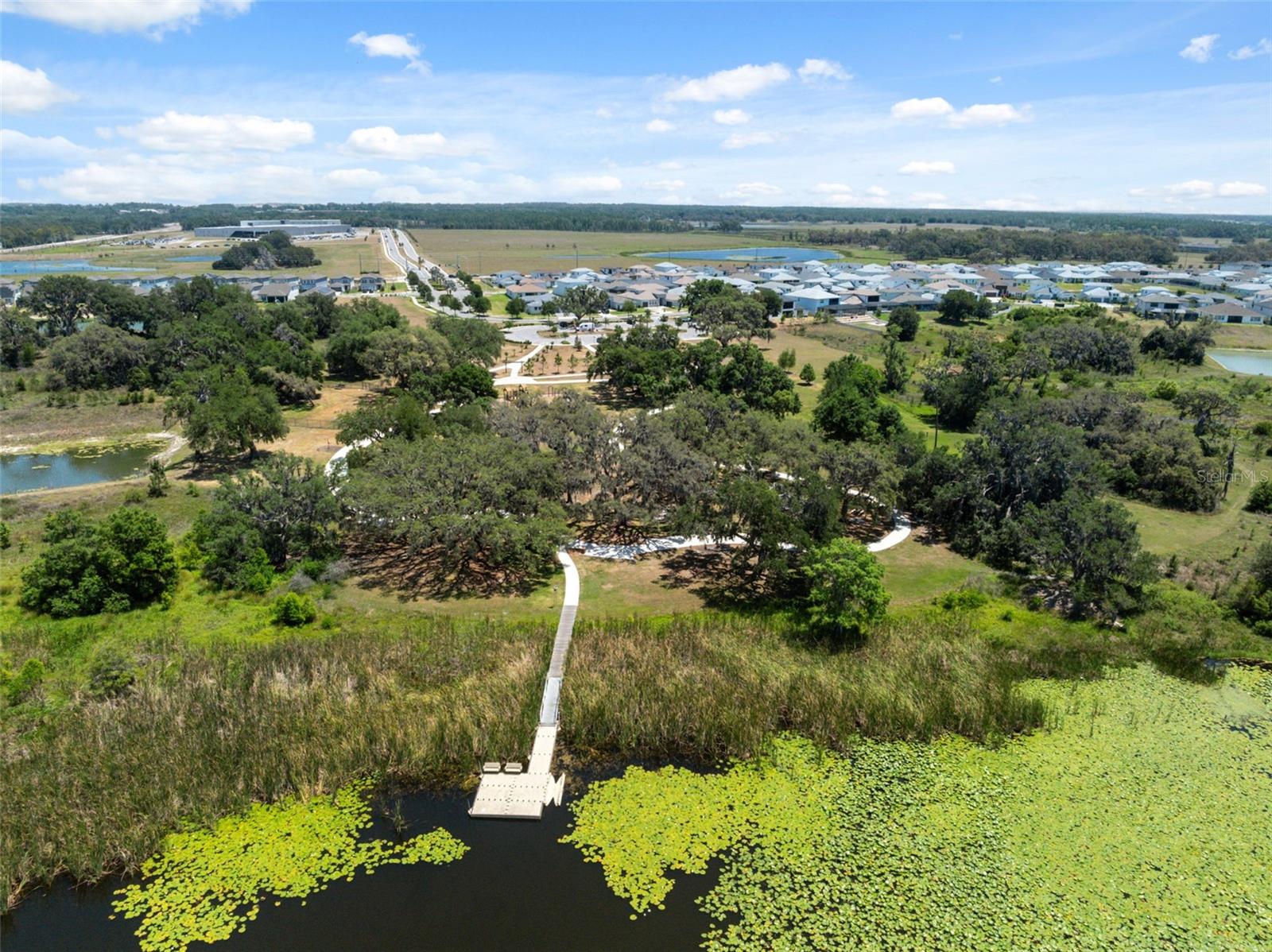 31555 BLUE PASSING LOOP, WESLEY CHAPEL, FL, 33545