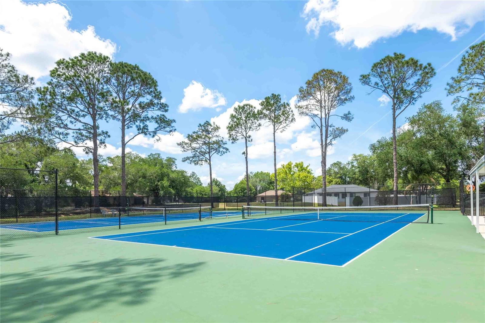 28310 TANGLEWOOD DR, WESLEY CHAPEL, FL, 33543