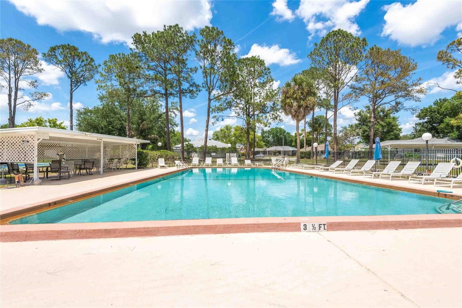 28310 TANGLEWOOD DR, WESLEY CHAPEL, FL, 33543
