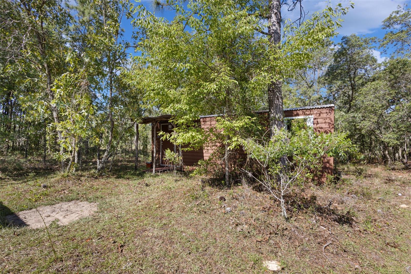 5330 SE 128TH TER, MORRISTON, FL, 32668