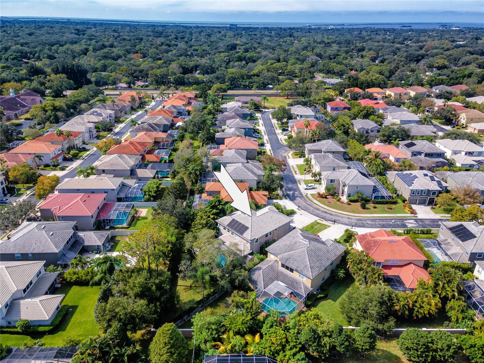 2241 HIGHLAND WOODS DR, DUNEDIN, FL, 34698